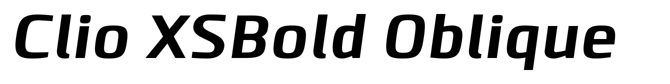Clio XSBold Oblique